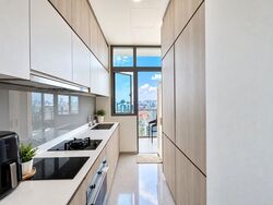 Sturdee Residences (D8), Condominium #623996211
